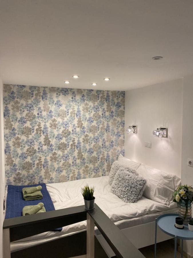 Downtown Mini Apartment Budapeşte Dış mekan fotoğraf