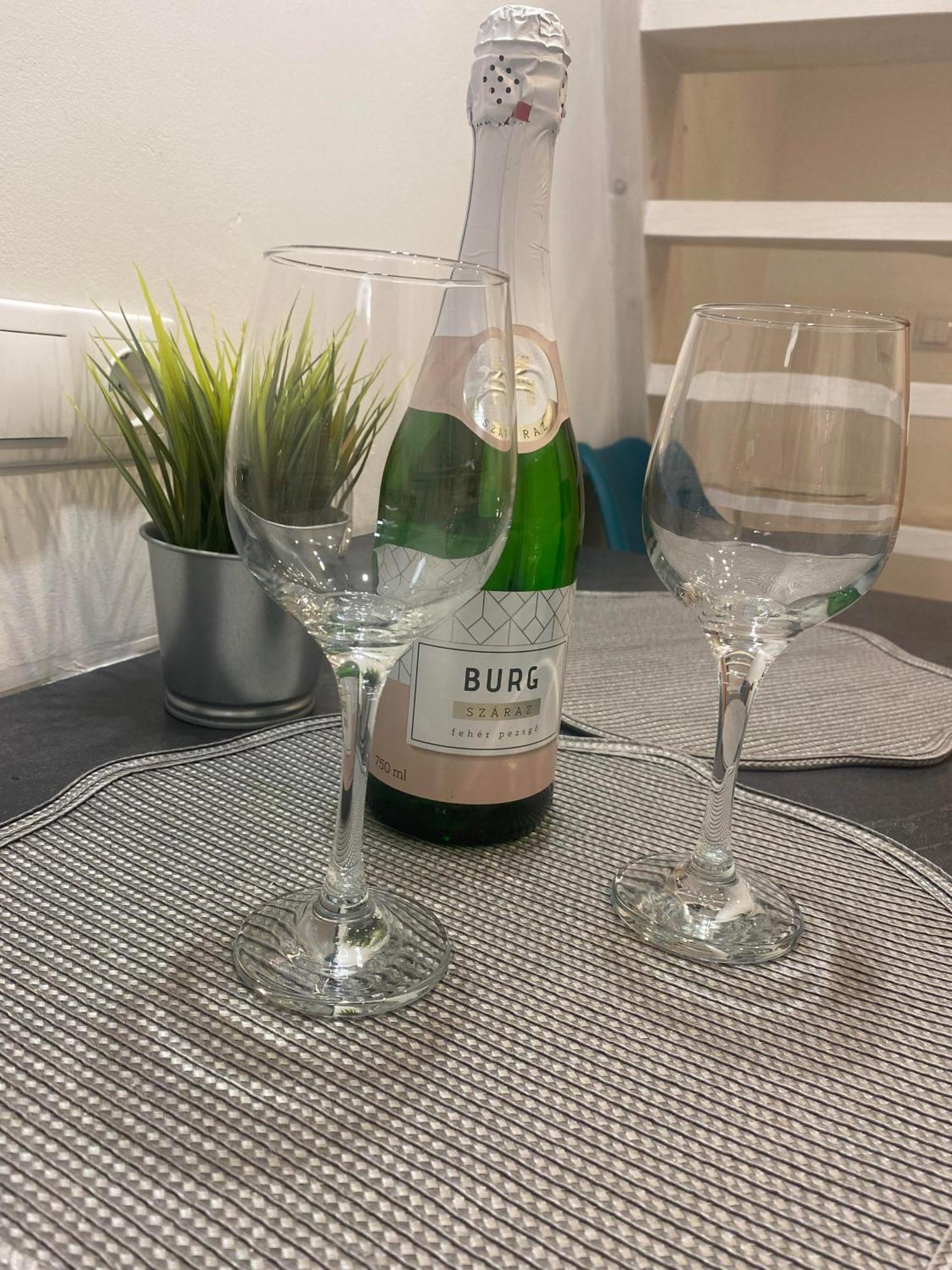 Downtown Mini Apartment Budapeşte Dış mekan fotoğraf